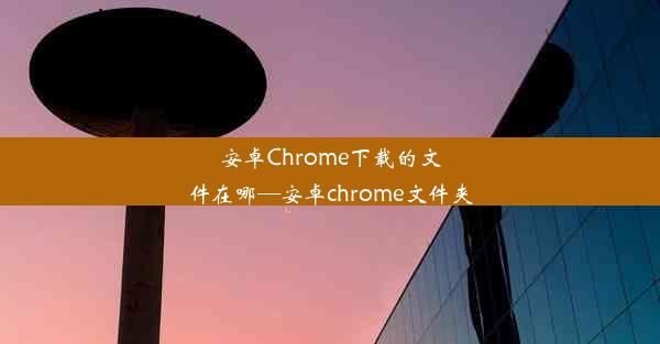 安卓Chrome下载的文件在哪—安卓chrome文件夹