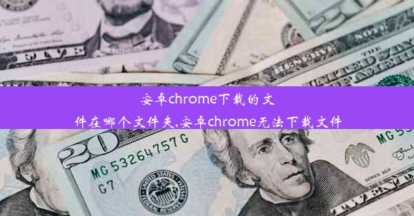 安卓chrome下载的文件在哪个文件夹,安卓chrome无法下载文件