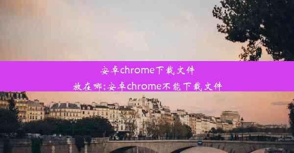 安卓chrome下载文件放在哪;安卓chrome不能下载文件