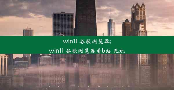 win11 谷歌浏览器;win11 谷歌浏览器看b站 死机