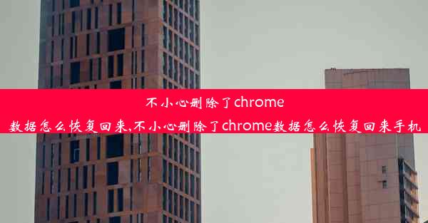 不小心删除了chrome数据怎么恢复回来,不小心删除了chrome数据怎么恢复回来手机