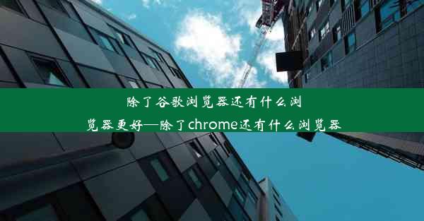 除了谷歌浏览器还有什么浏览器更好—除了chrome还有什么浏览器