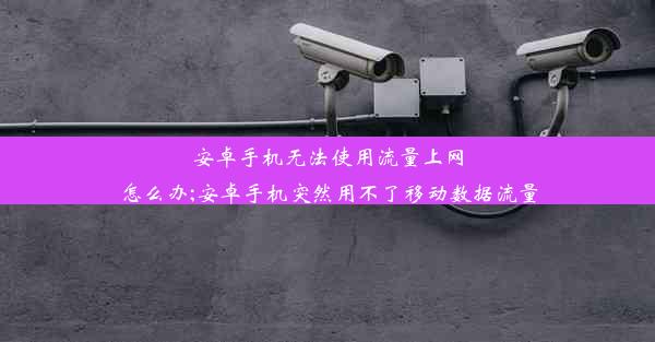 安卓手机无法使用流量上网怎么办;安卓手机突然用不了移动数据流量