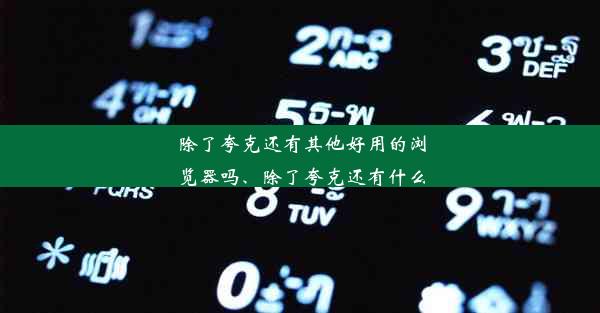 除了夸克还有其他好用的浏览器吗、除了夸克还有什么