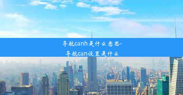 导航canh是什么意思-导航can设置是什么