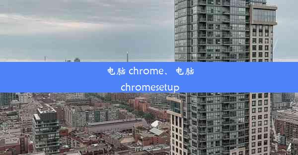 电脑 chrome、电脑 chromesetup