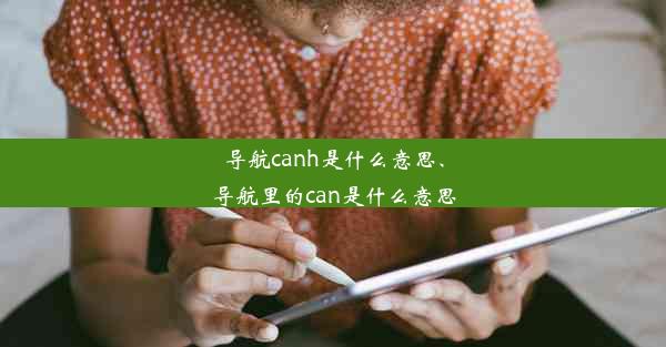 导航canh是什么意思、导航里的can是什么意思