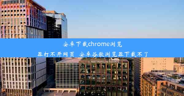 安卓下载chrome浏览器打不开网页_安卓谷歌浏览器下载不了