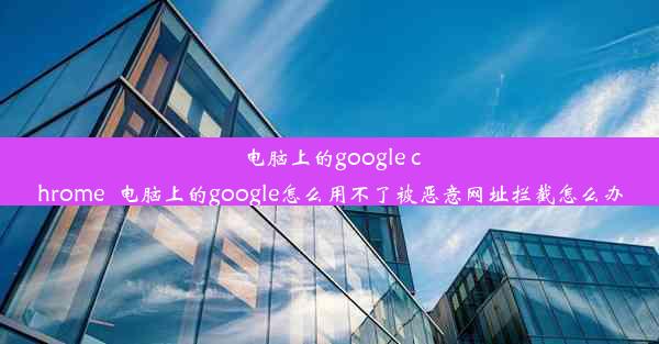 电脑上的google chrome_电脑上的google怎么用不了被恶意网址拦截怎么办