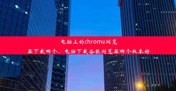 电脑上的chrome浏览器下载哪个、电脑下载谷歌浏览器哪个版本好