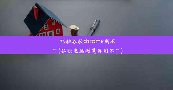 电脑谷歌chrome用不了(谷歌电脑浏览器用不了)