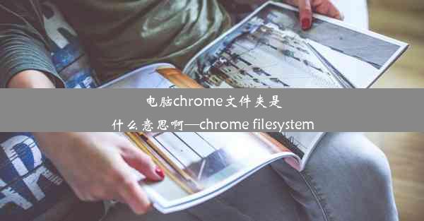 电脑chrome文件夹是什么意思啊—chrome filesystem