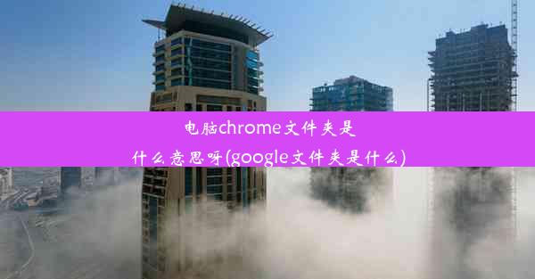 电脑chrome文件夹是什么意思呀(google文件夹是什么)