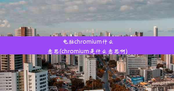 电脑chromium什么意思(chromium是什么意思啊)