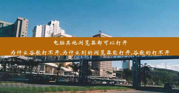 电脑其他浏览器都可以打开为什么谷歌打不开,为什么别的浏览器能打开,谷歌的打不开