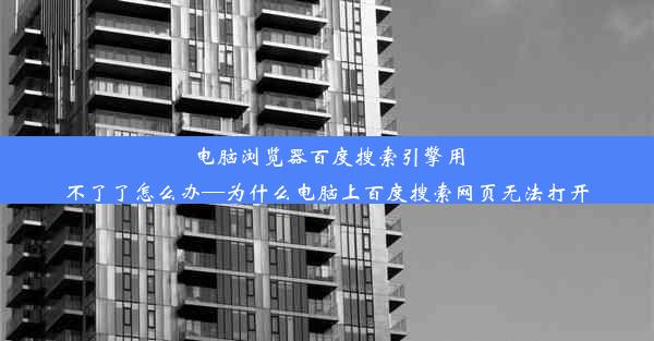 电脑浏览器百度搜索引擎用不了了怎么办—为什么电脑上百度搜索网页无法打开