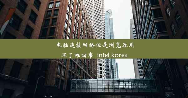 电脑连接网络但是浏览器用不了咋回事_intel korea