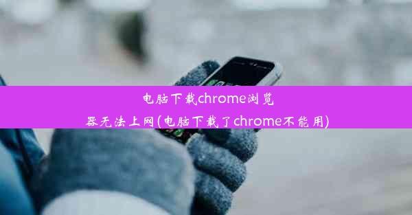 电脑下载chrome浏览器无法上网(电脑下载了chrome不能用)