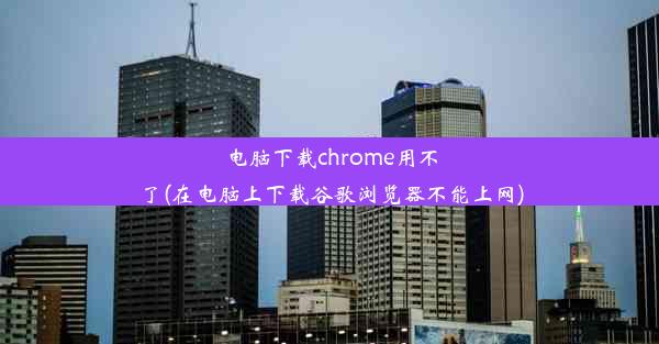 电脑下载chrome用不了(在电脑上下载谷歌浏览器不能上网)