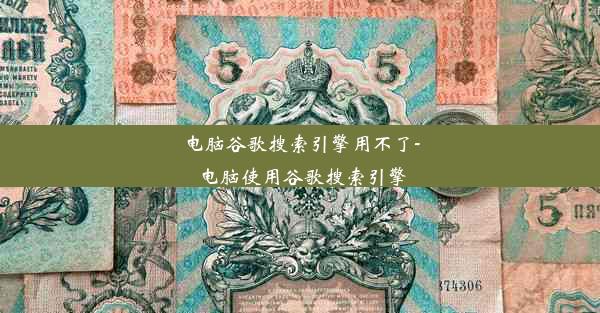 电脑谷歌搜索引擎用不了-电脑使用谷歌搜索引擎