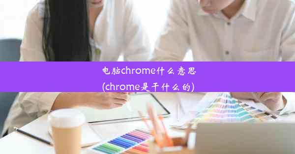 电脑chrome什么意思(chrome是干什么的)