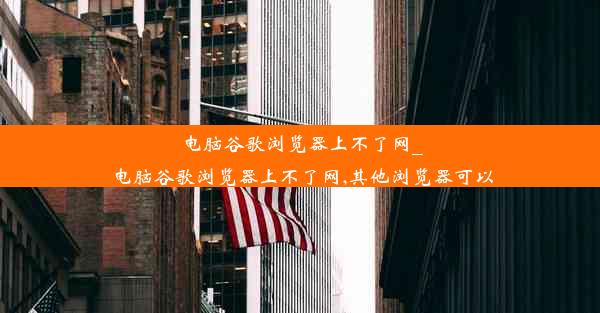 电脑谷歌浏览器上不了网_电脑谷歌浏览器上不了网,其他浏览器可以