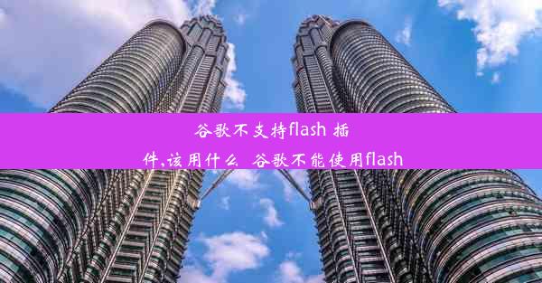 谷歌不支持flash 插件,该用什么_谷歌不能使用flash