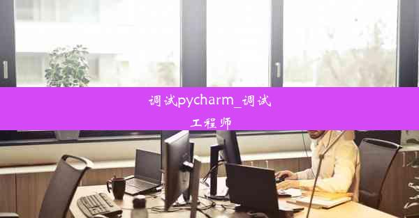 调试pycharm_调试工程师