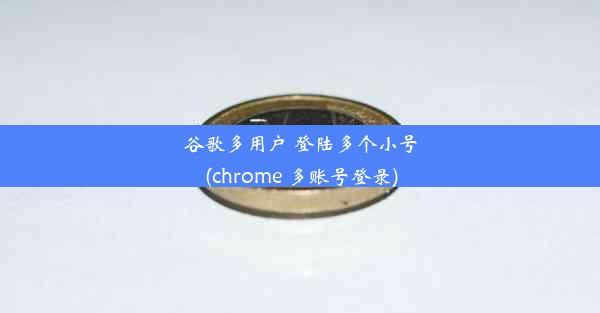 谷歌多用户 登陆多个小号(chrome 多账号登录)