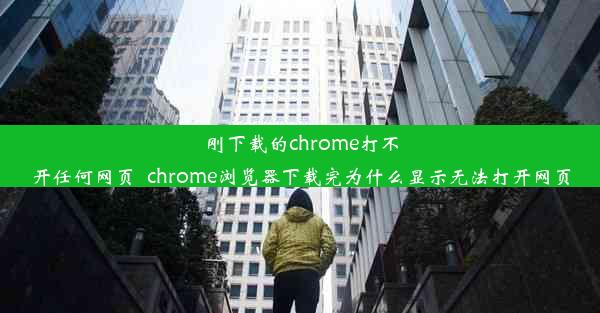 刚下载的chrome打不开任何网页_chrome浏览器下载完为什么显示无法打开网页