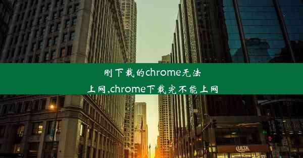 刚下载的chrome无法上网,chrome下载完不能上网