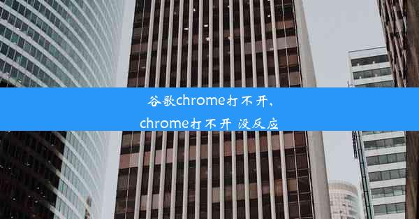 谷歌chrome打不开,chrome打不开 没反应