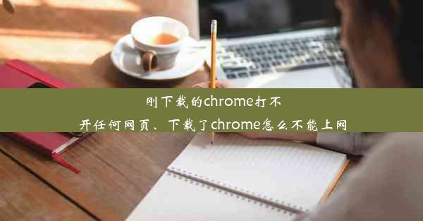 刚下载的chrome打不开任何网页、下载了chrome怎么不能上网