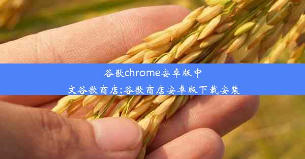 谷歌chrome安卓版中文谷歌商店;谷歌商店安卓版下载安装