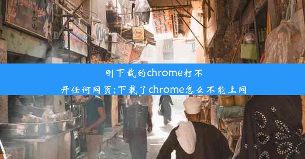 刚下载的chrome打不开任何网页;下载了chrome怎么不能上网