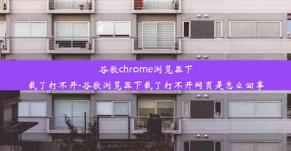 谷歌chrome浏览器下载了打不开-谷歌浏览器下载了打不开网页是怎么回事