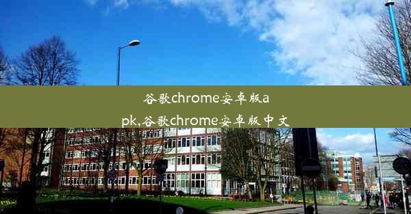 谷歌chrome安卓版apk,谷歌chrome安卓版中文