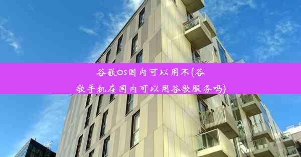 谷歌os国内可以用不(谷歌手机在国内可以用谷歌服务吗)