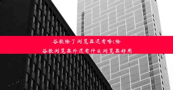 谷歌除了浏览器还有啥;除谷歌浏览器外还有什么浏览器好用