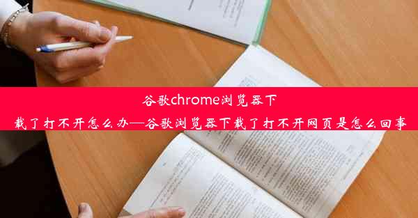 谷歌chrome浏览器下载了打不开怎么办—谷歌浏览器下载了打不开网页是怎么回事