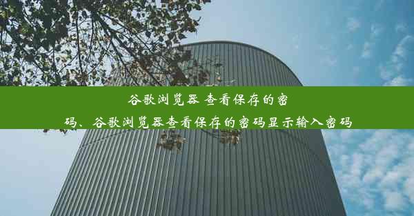 谷歌浏览器 查看保存的密码、谷歌浏览器查看保存的密码显示输入密码