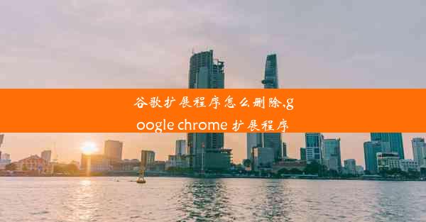 谷歌扩展程序怎么删除,google chrome 扩展程序