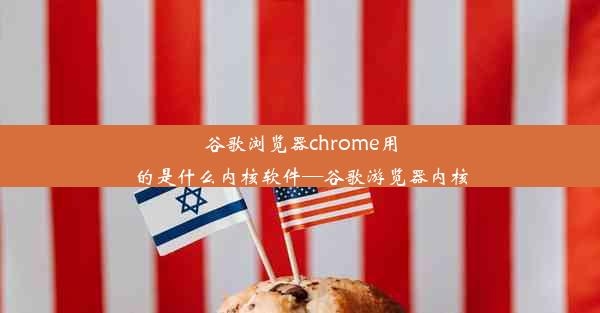 谷歌浏览器chrome用的是什么内核软件—谷歌游览器内核