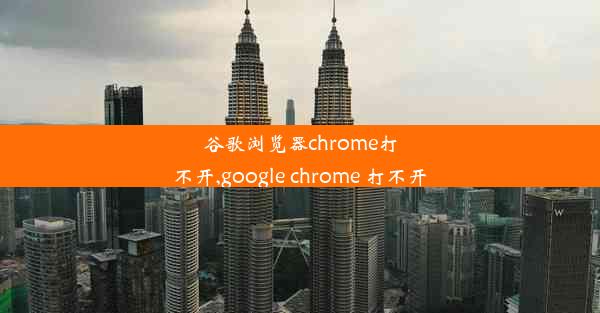 谷歌浏览器chrome打不开,google chrome 打不开