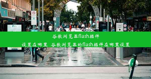 谷歌浏览器flash插件设置在哪里_谷歌浏览器的flash插件在哪里设置