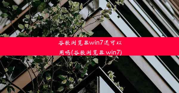 谷歌浏览器win7还可以用吗(谷歌浏览器 win7)