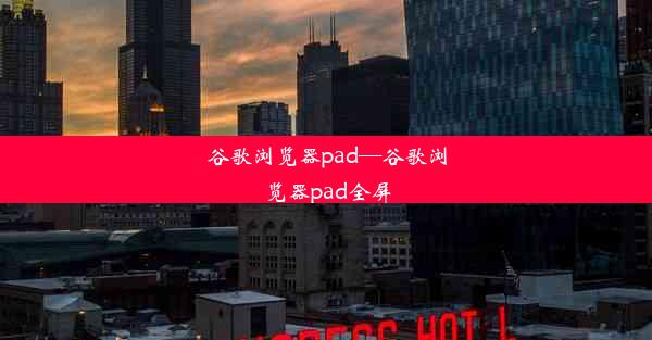 谷歌浏览器pad—谷歌浏览器pad全屏