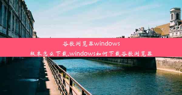 谷歌浏览器windows版本怎么下载,windows如何下载谷歌浏览器