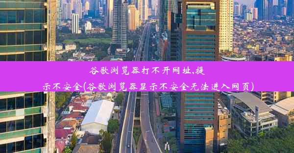 谷歌浏览器打不开网址,提示不安全(谷歌浏览器显示不安全无法进入网页)