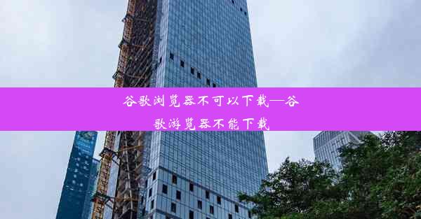 谷歌浏览器不可以下载—谷歌游览器不能下载